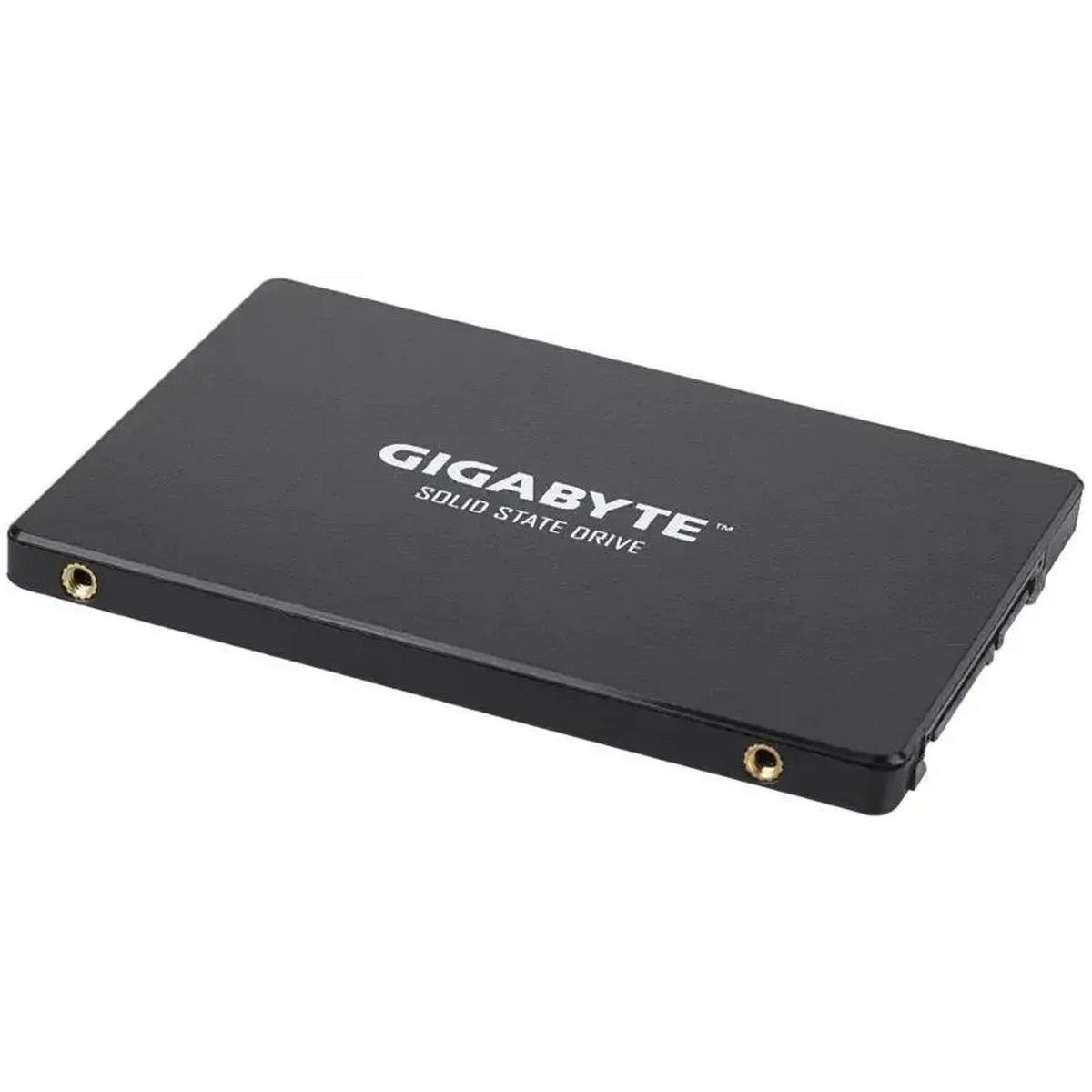 Накопитель SSD Gigabyte SATA-III 256GB GP-GSTFS31256GTND 2.5"