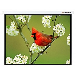 Экран Lumien 78" 115x180см Master Picture LMP-100131 16:10 настенно-потолочный рулонный