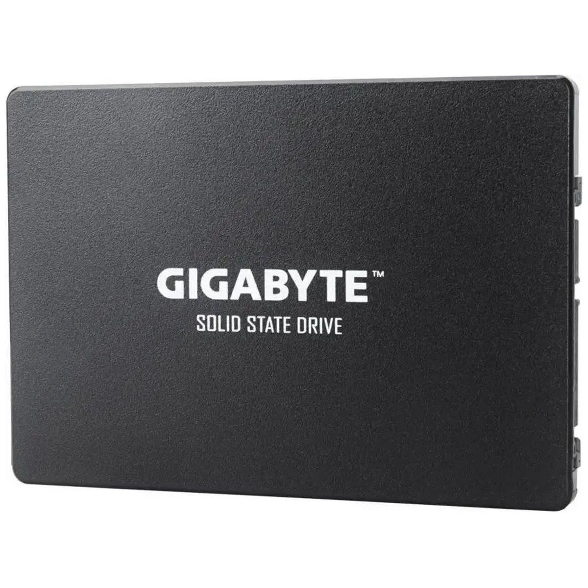 Накопитель SSD Gigabyte SATA-III 256GB GP-GSTFS31256GTND 2.5"