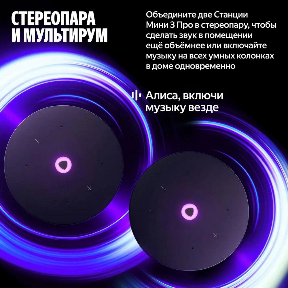 Умная колонка Yandex Станция Мини 3 Про Алиса черный 18W 2.0 BT/Wi-Fi (YNDX-00059BLK)