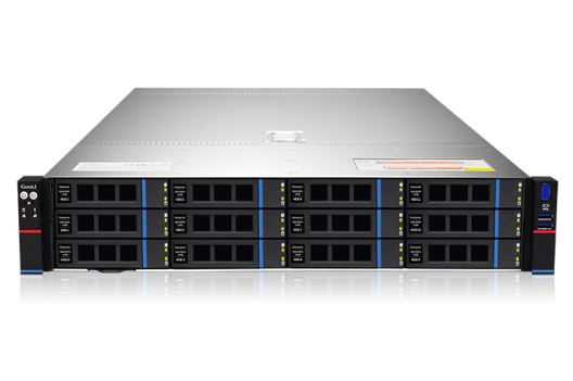 Серверная платформа/ Gooxi SL201-D12RE-G3 2u 12 bay platform with expander backplane; based on Ice lake. 2x 2.5" rear SAS/SATA; 2x 2.5" rear NVMe ; RAID 9460-8i 4G +BBU; 2xPCIe 4.0x16; 4xPCIe 4.0x8 ; RAIL kits; 2x1300W psu EU power cables