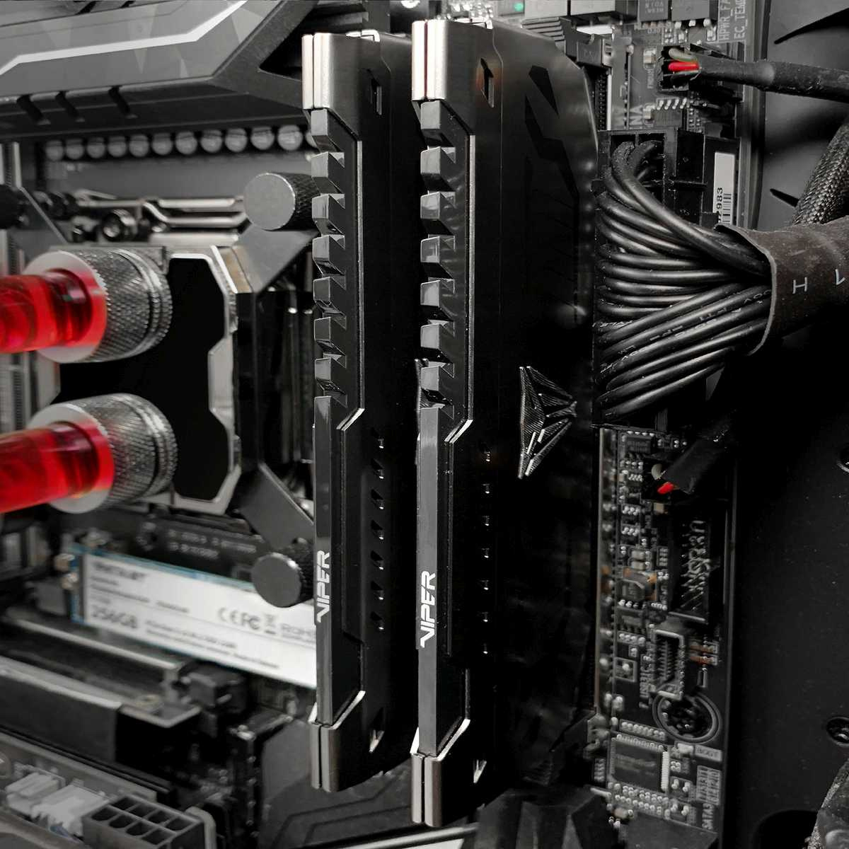 Память DDR4 2x32Gb 3600MHz Patriot PVS464G360C8K Viper Steel RTL Gaming PC4-28800 CL18 DIMM 288-pin 