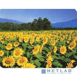 Коврик для мыши Buro BU-M20036 Мини рисунок/подсолнухи 230x180x2мм