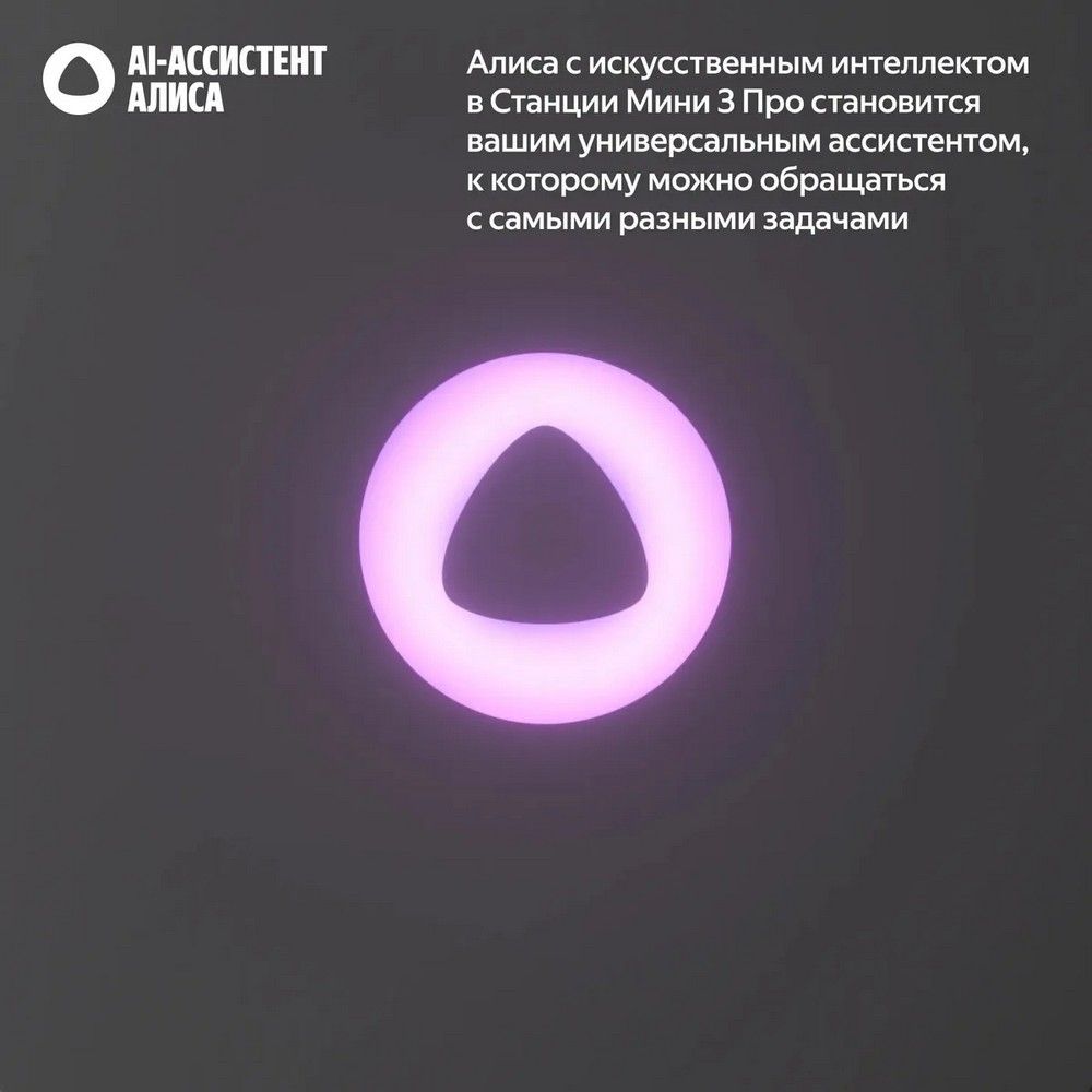 Умная колонка Yandex Станция Мини 3 Про Алиса черный 18W 2.0 BT/Wi-Fi (YNDX-00059BLK)
