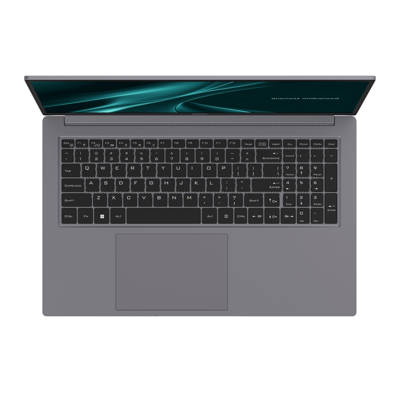 Ноутбук Maibenben B317B 17.3"(1920x1080 (матовый) IPS)/Intel Core i5 12450H(2Ghz)/16384Mb/512PCISSDG