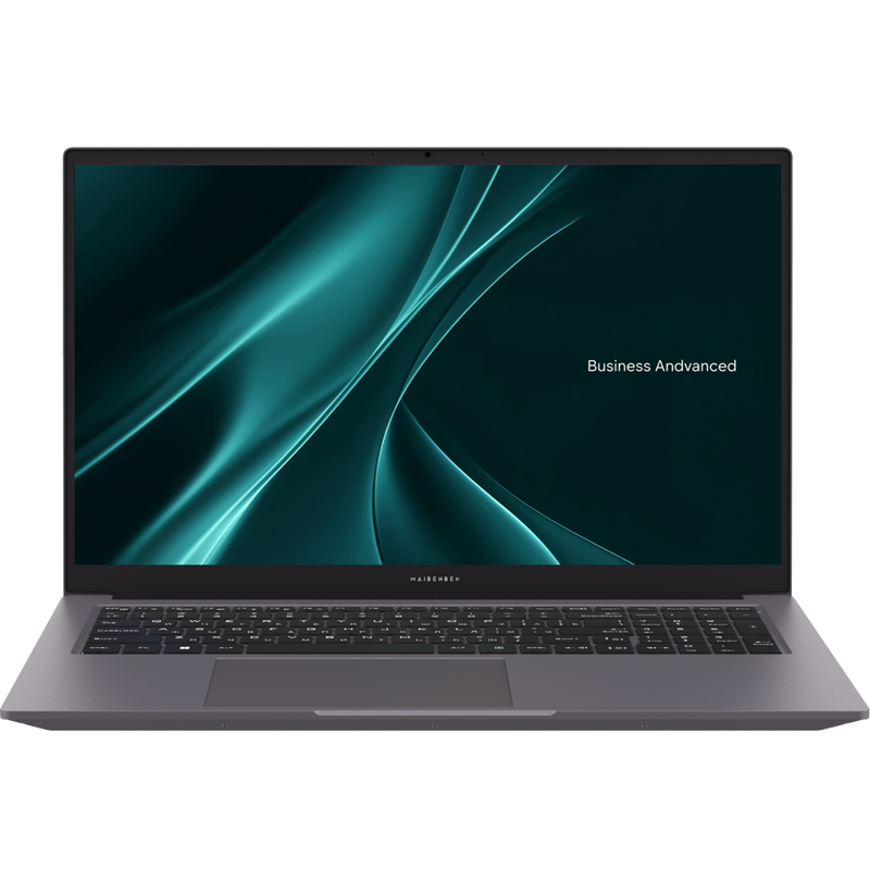 Ноутбук Maibenben B317B 17.3"(1920x1080 (матовый) IPS)/Intel Core i5 12450H(2Ghz)/16384Mb/512PCISSDG