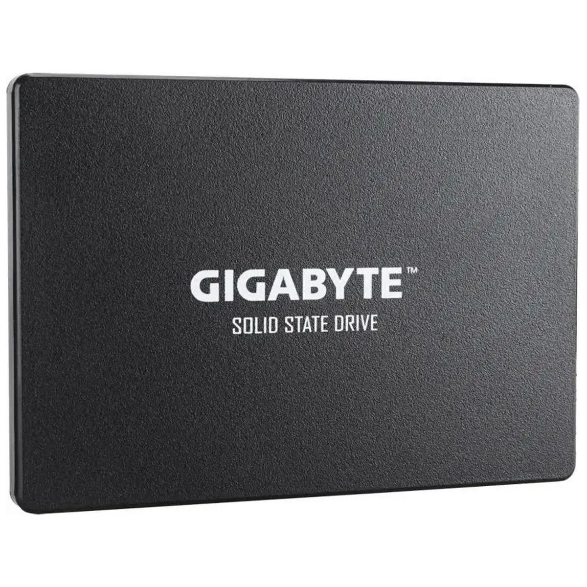 Накопитель SSD Gigabyte SATA-III 256GB GP-GSTFS31256GTND 2.5"
