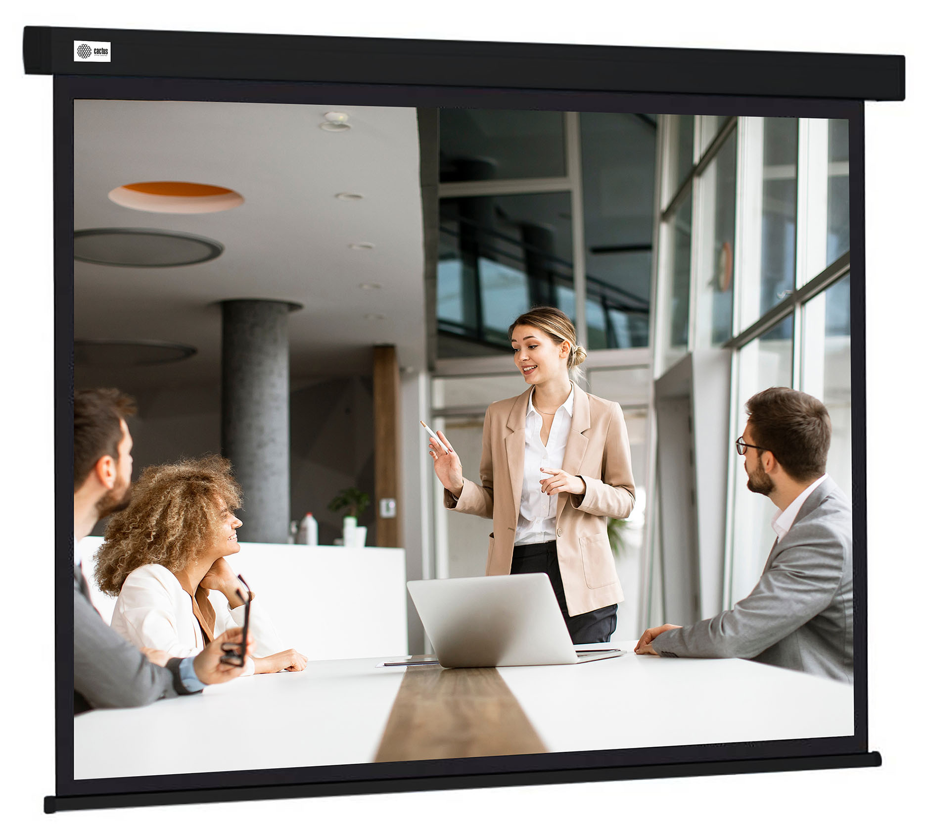 Экран Cactus 135" 168x299см Wallscreen CS-PSW-168X299-BK 16:9 настенно-потолочный рулонный черный