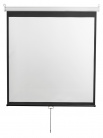 Экран DIGIS DSOD-4306 настенный Optimal-D 4:3 150" 308x229 MW