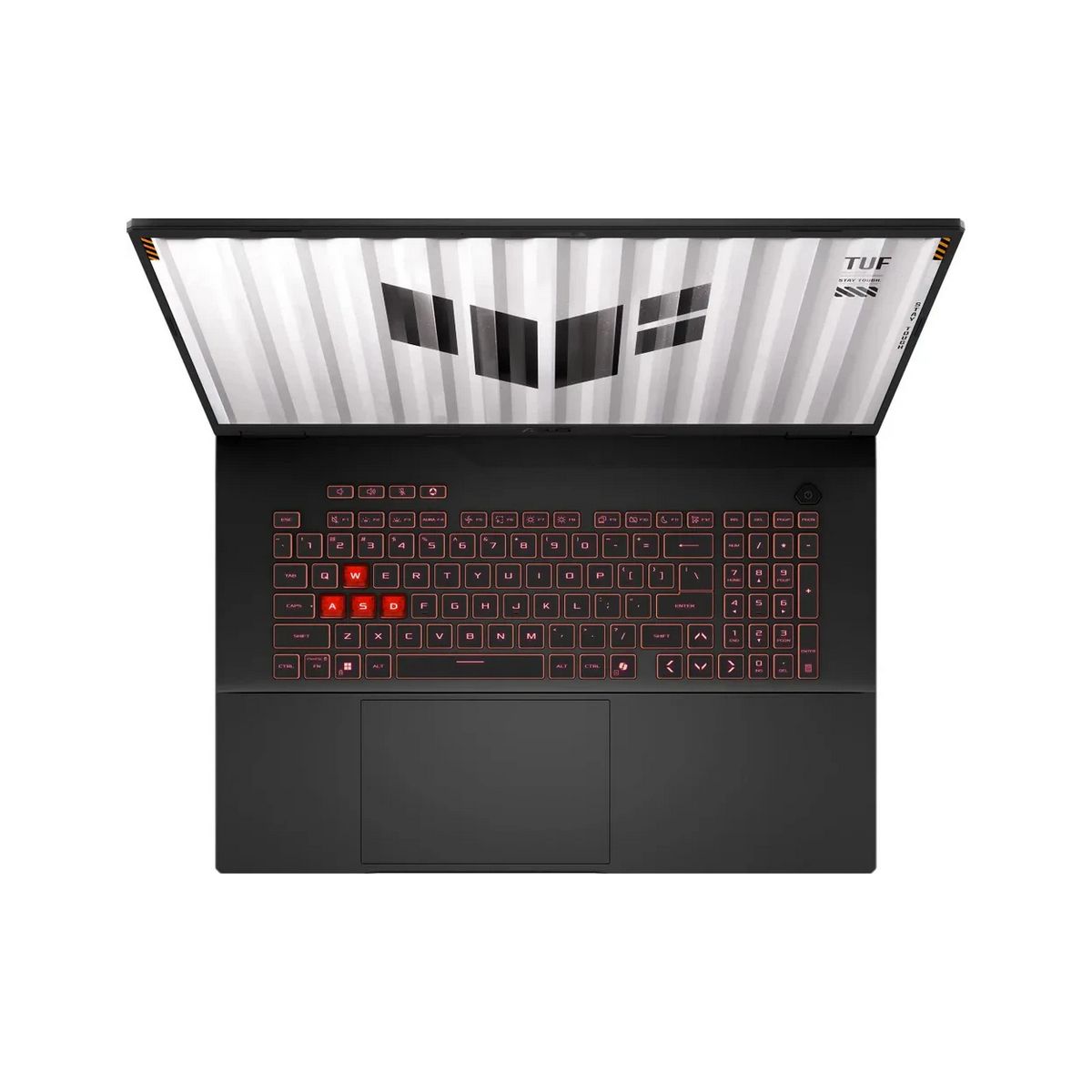 Ноутбук Asus TUF Gaming A18 FA808UP-S8051 (90NR0NL1-M002U0)