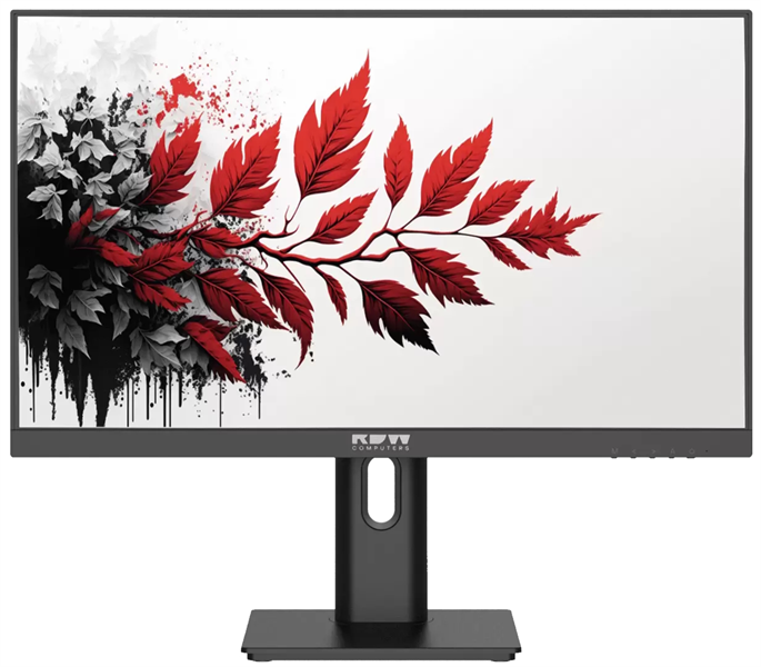 Монитор RDW2701K ЕМТЦ.467846.017-01 2560x1440(QHD) IPS 27"100Hz 1мс 178°/178 350cd HDMI DP Type-C/65