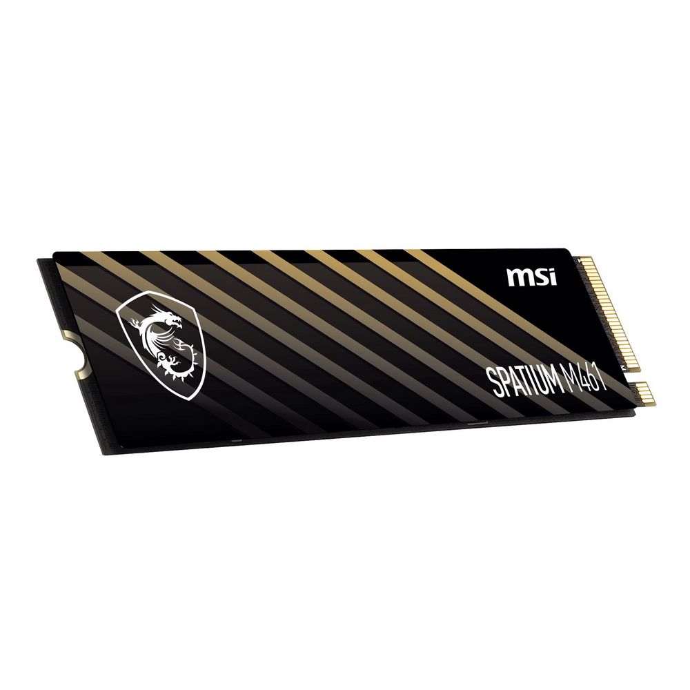 Твердотельный накопитель SPATIUM M461 PCIe 4.0 NVMe M.2 1TB