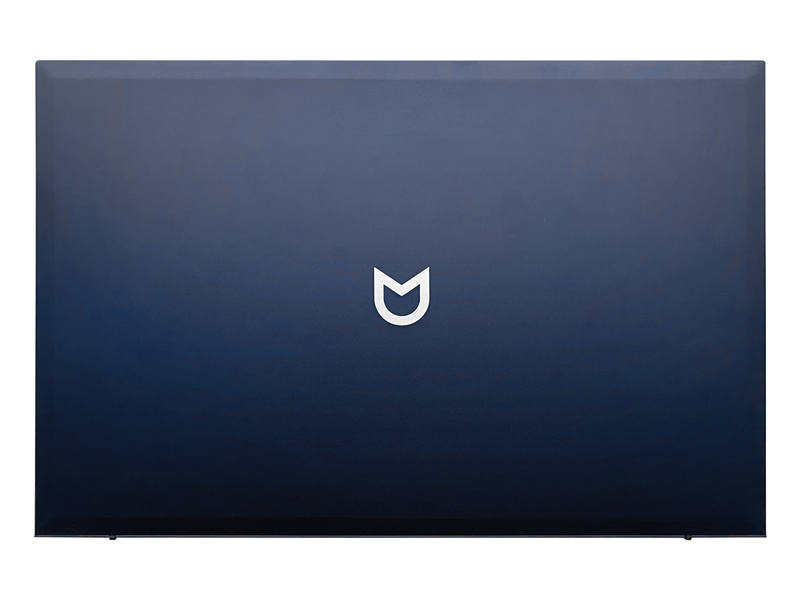 Ноутбук IRBIS BlizzardBook 15 15NBC1000 15.6" notebook,CPU:R3-3200U, 15.6"LCD 1920*1080 IPS , 16GB s