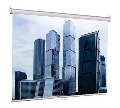 Экран Lumien 111" 200x200см Eco Picture LEP-100103 1:1 настенно-потолочный рулонный