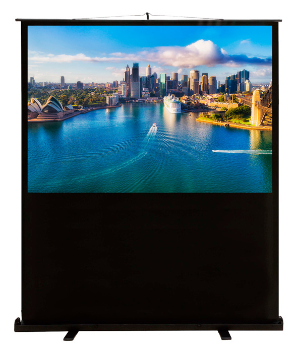 Экран Cactus 79" 120x160см FloorCompactExpert CS-PSFLCE-160X120 4:3 напольный рулонный