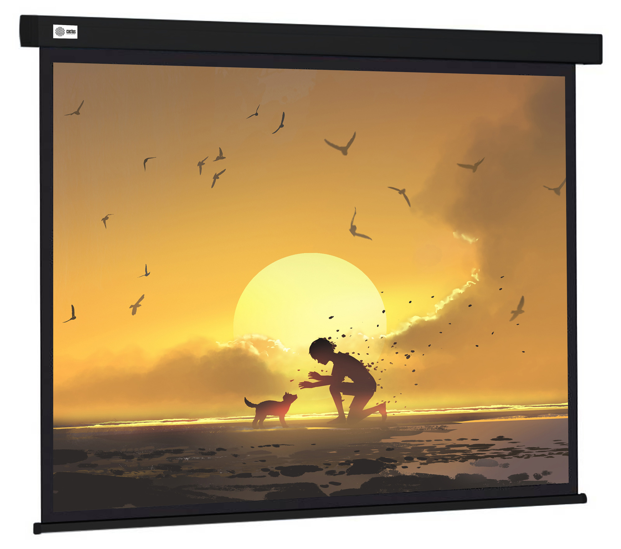 Экран Cactus 84" 150x150см Wallscreen CS-PSW-150X150-BK 1:1 настенно-потолочный рулонный черный