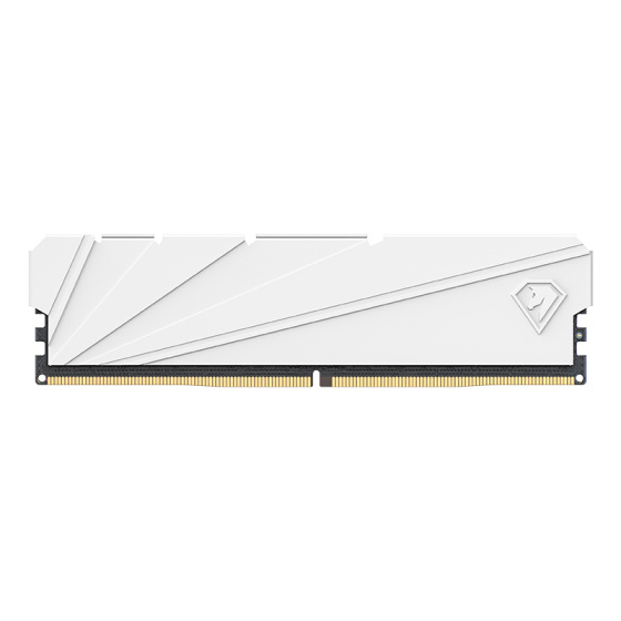 Память DDR4 8GB 2666MHz Netac NTSSD4P26SP-08W Shadow S RTL PC4-21300 CL19 DIMM 288-pin 1.2В Intel с