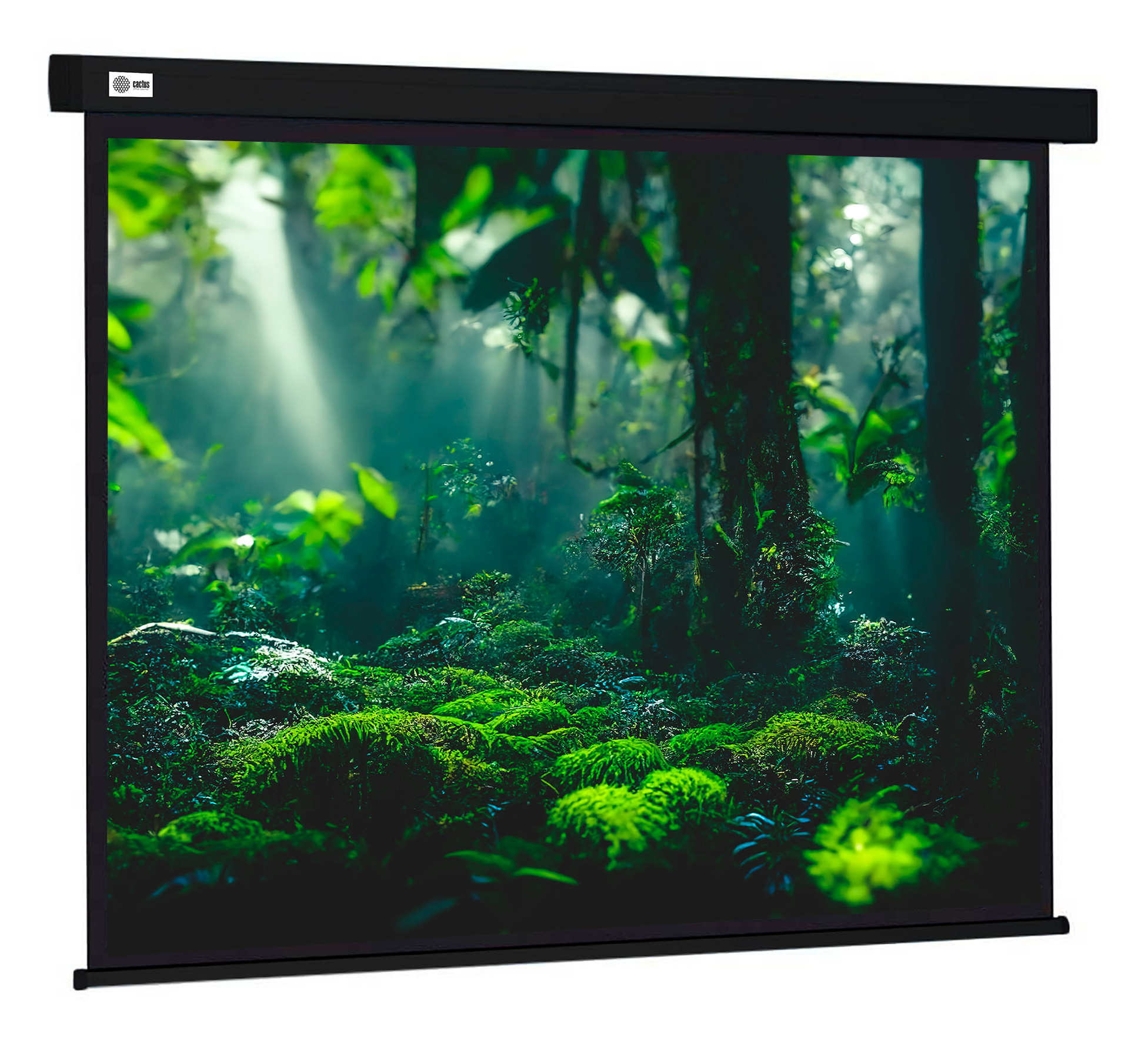 Экран Cactus 119" 213x213см Wallscreen CS-PSW-213X213-BK 1:1 настенно-потолочный рулонный черный