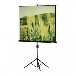 Экран на треноге Lumien 183x244см Master View LMV-100108 4:3 напольный рулонный черный