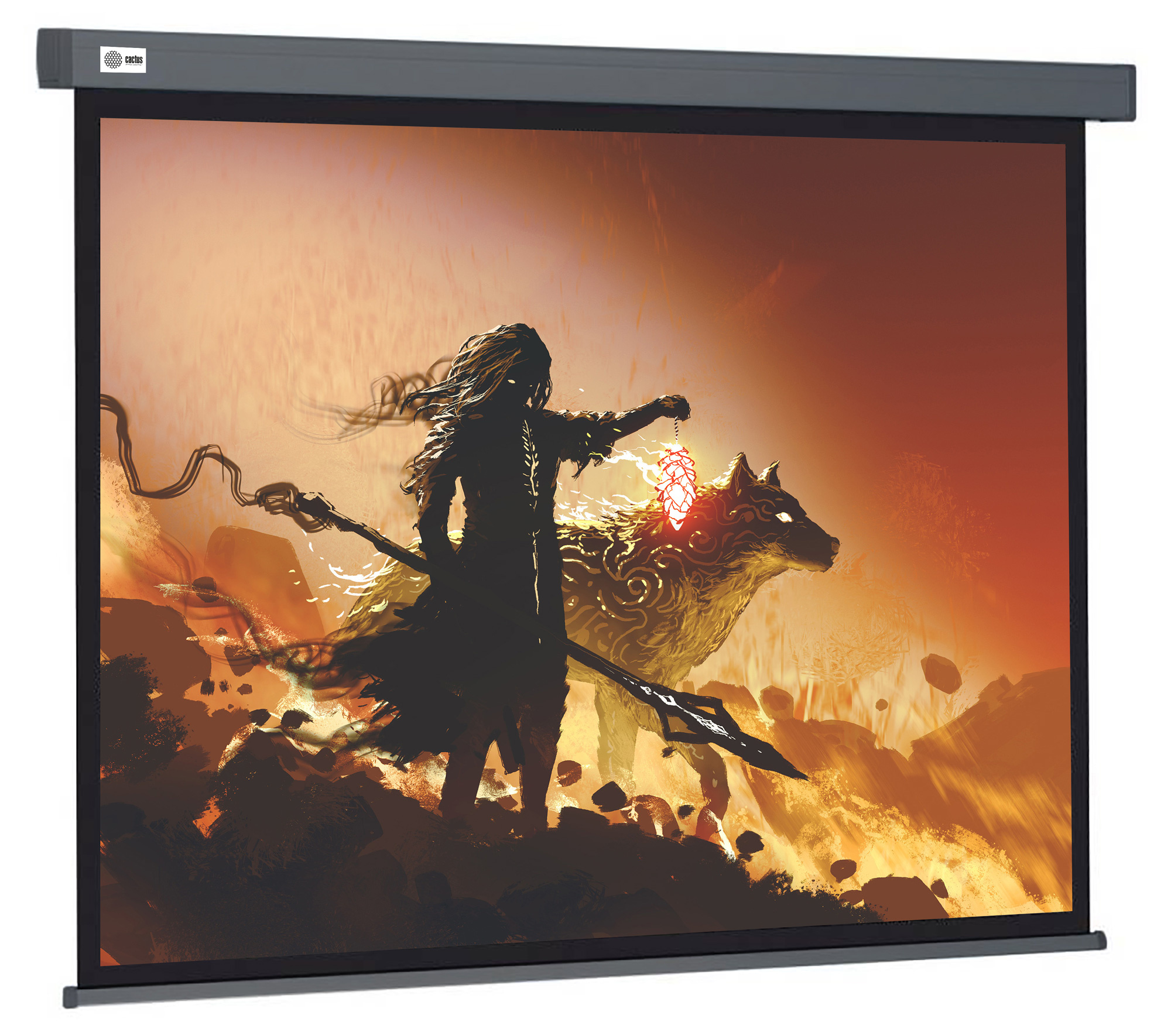 Экран Cactus 119" 213x213см Wallscreen CS-PSW-213X213-SG 1:1 настенно-потолочный рулонный серый