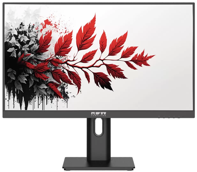 Монитор RDW2701K ЕМТЦ.467846.016 1920x1080(FHD) IPS 120Hz 5мс 178°/178 300cd VGA HDMI DP аудио вход/