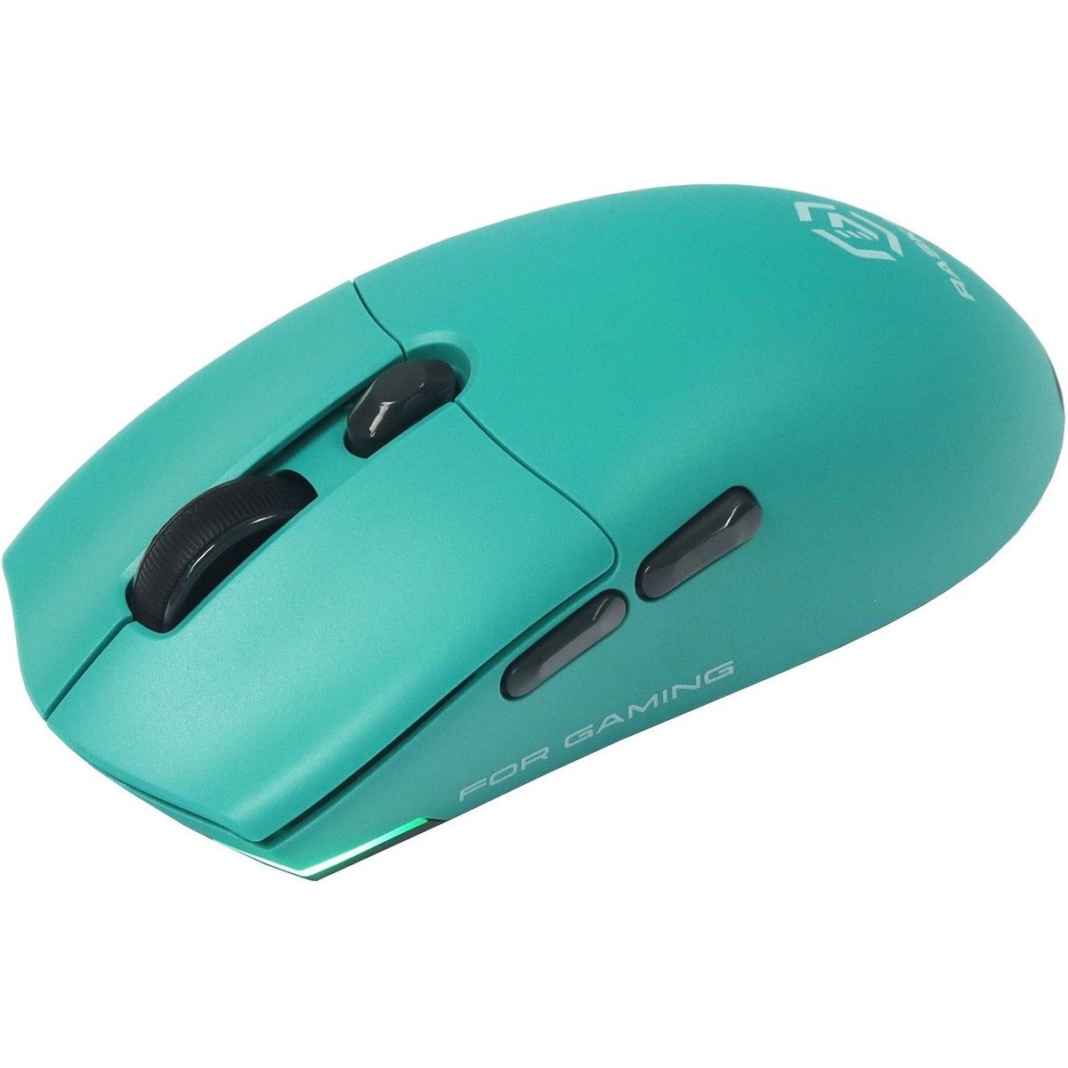 Мышь Raskat MG006TR