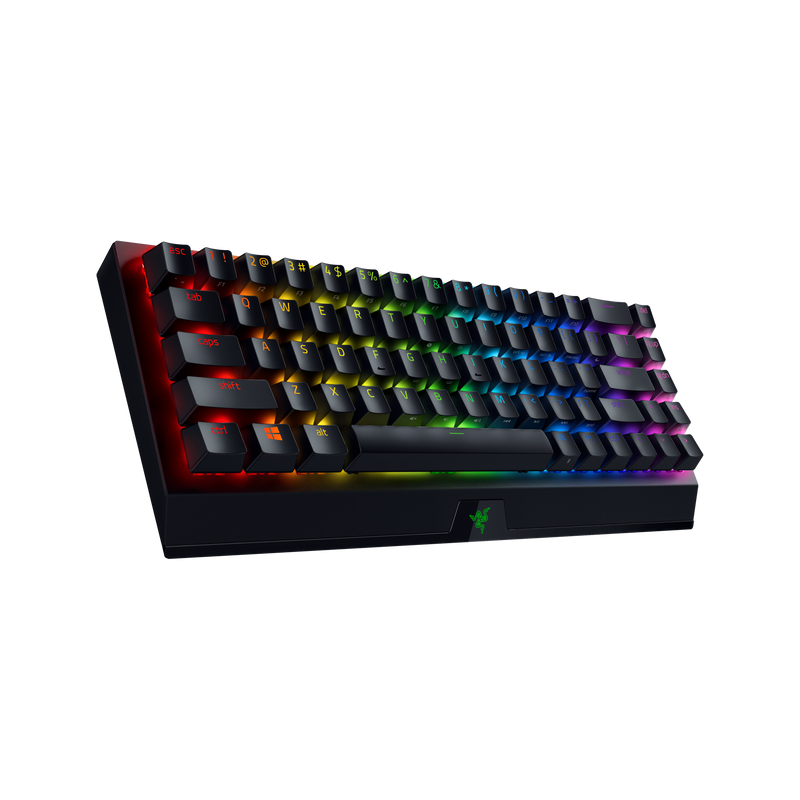 Razer BlackWidow V3 Mini